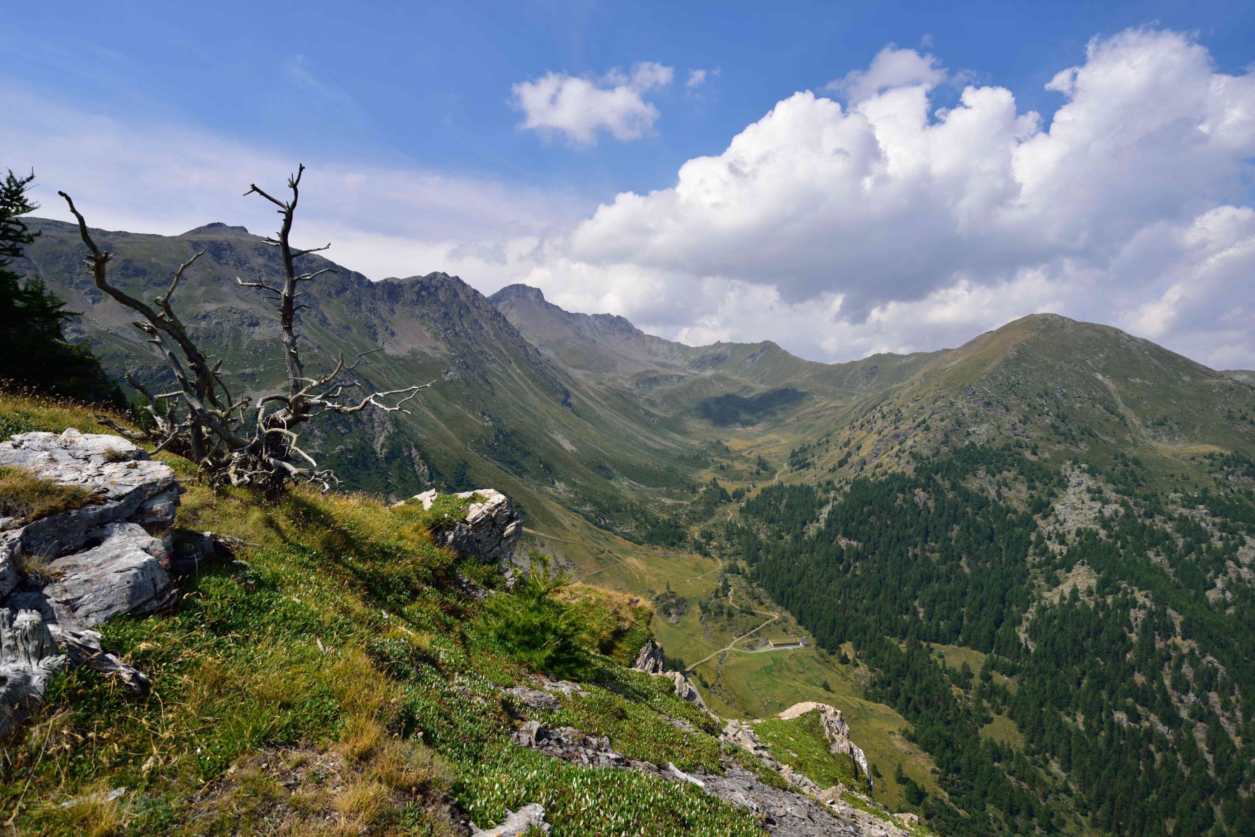 Vista sul vallone d'Ars e il Mont Fallere dalla Cresta Tardiva.