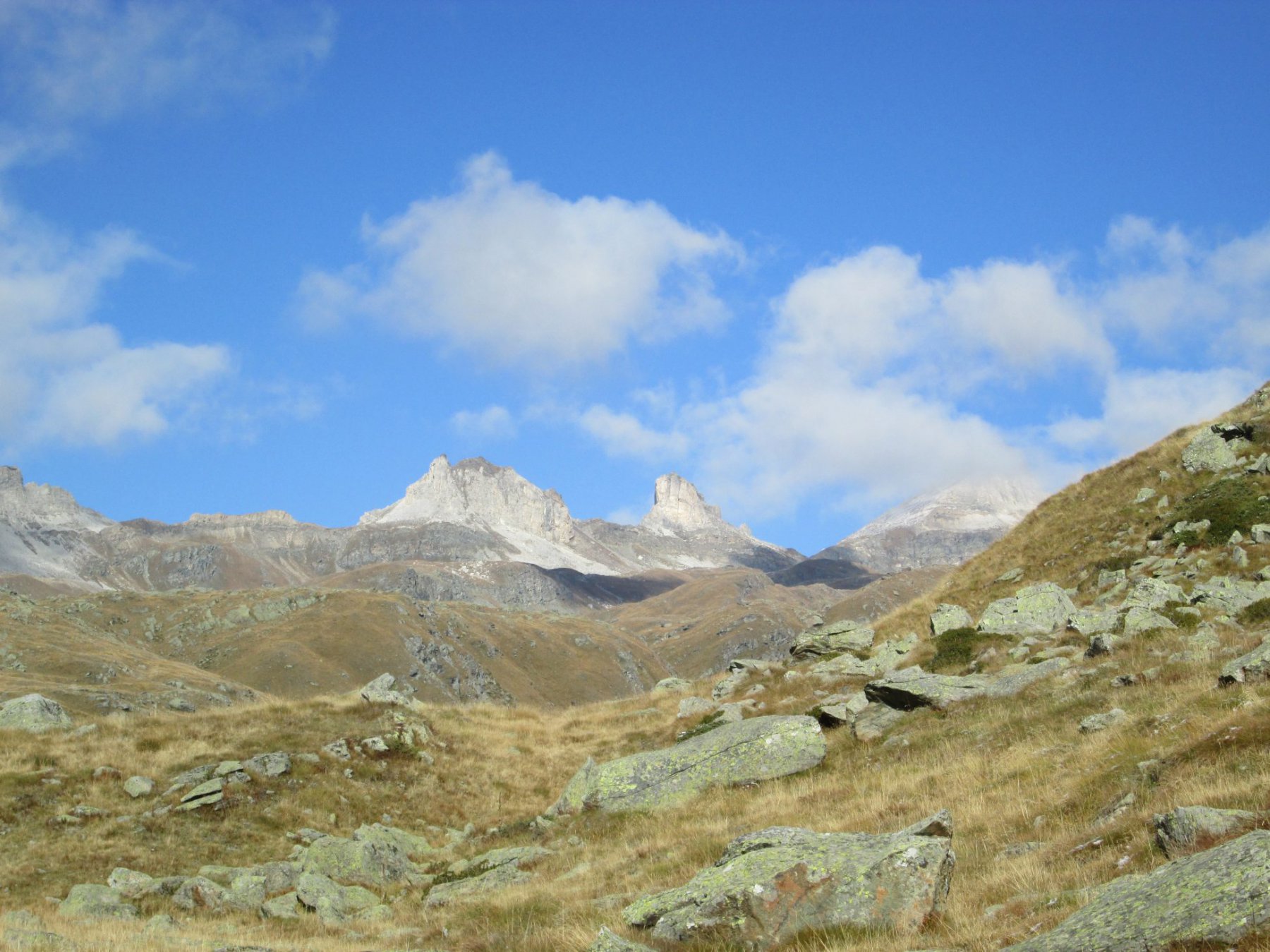 cime bianche