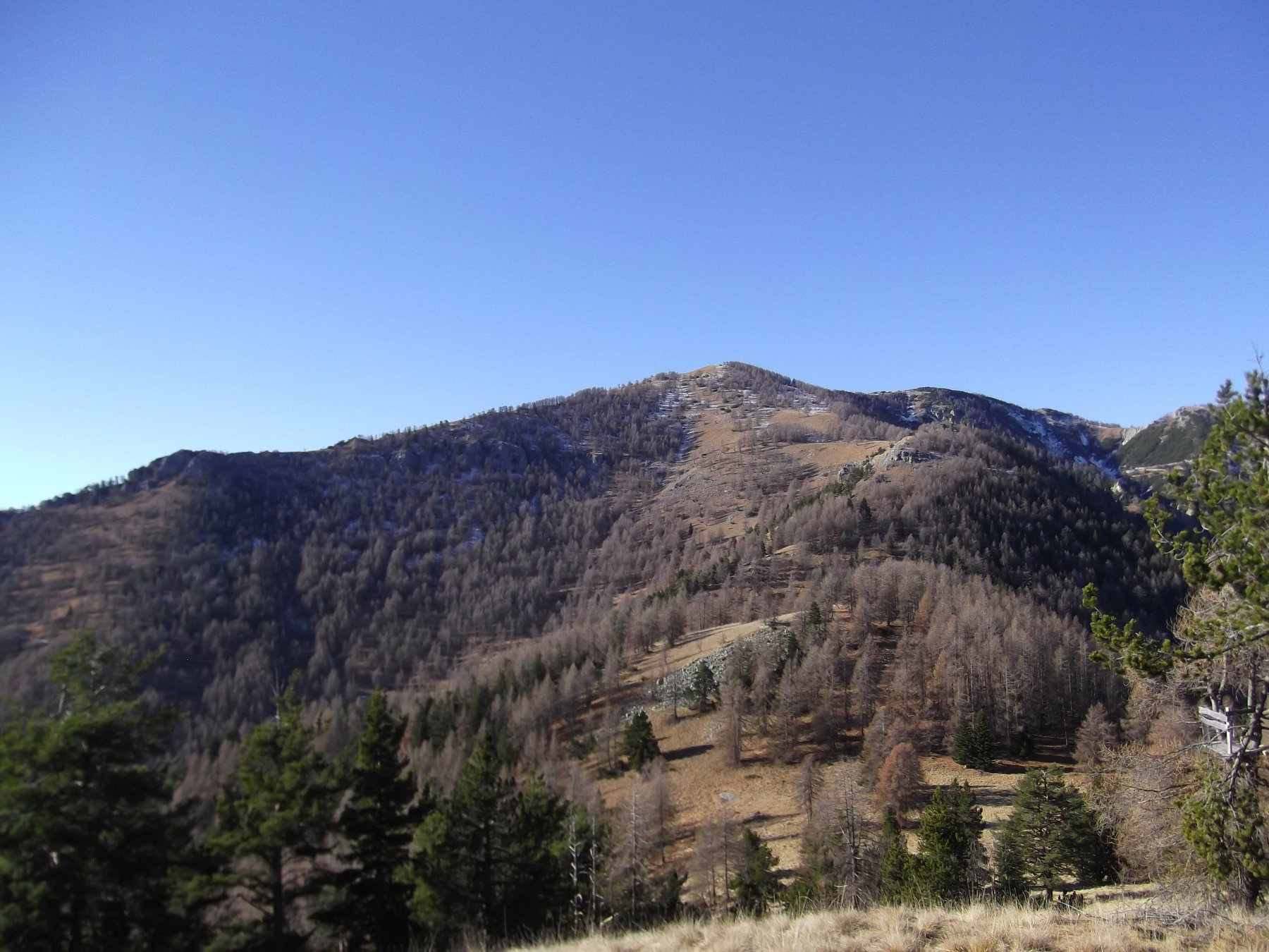 La dorsale che sale al Monte Agnellino dal Ribe de Bernou.