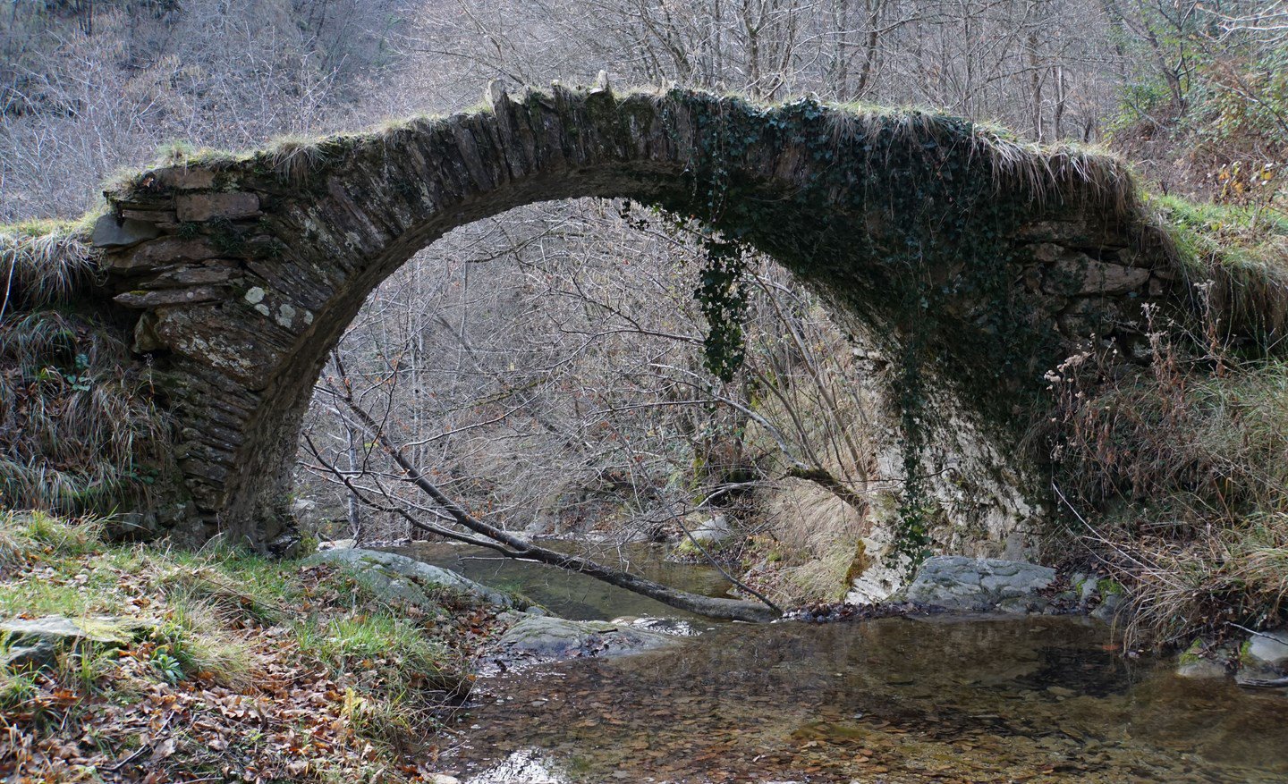 il ponte romano