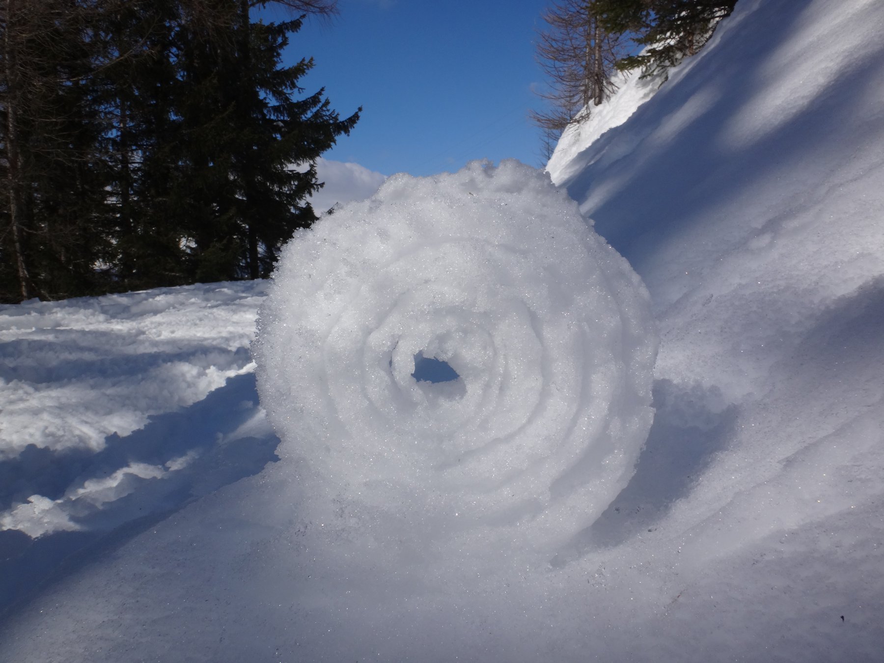 Una palla di neve