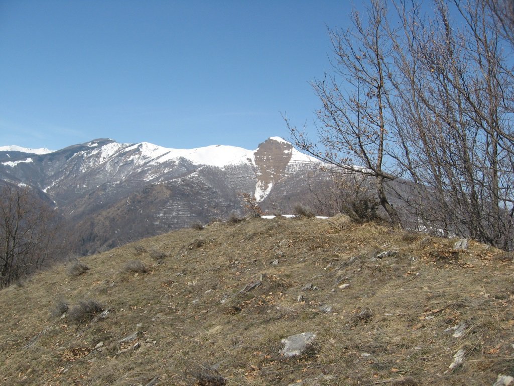 Monte Tajare'