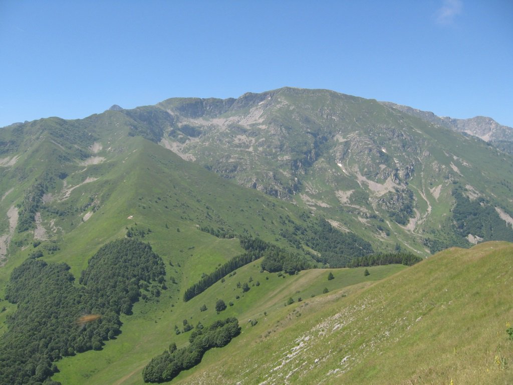 Monte Bourel