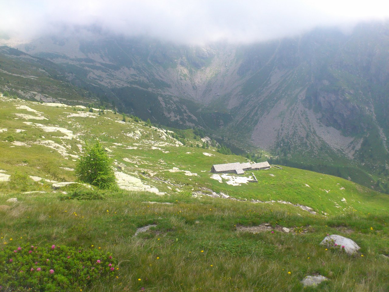 alpe Variola