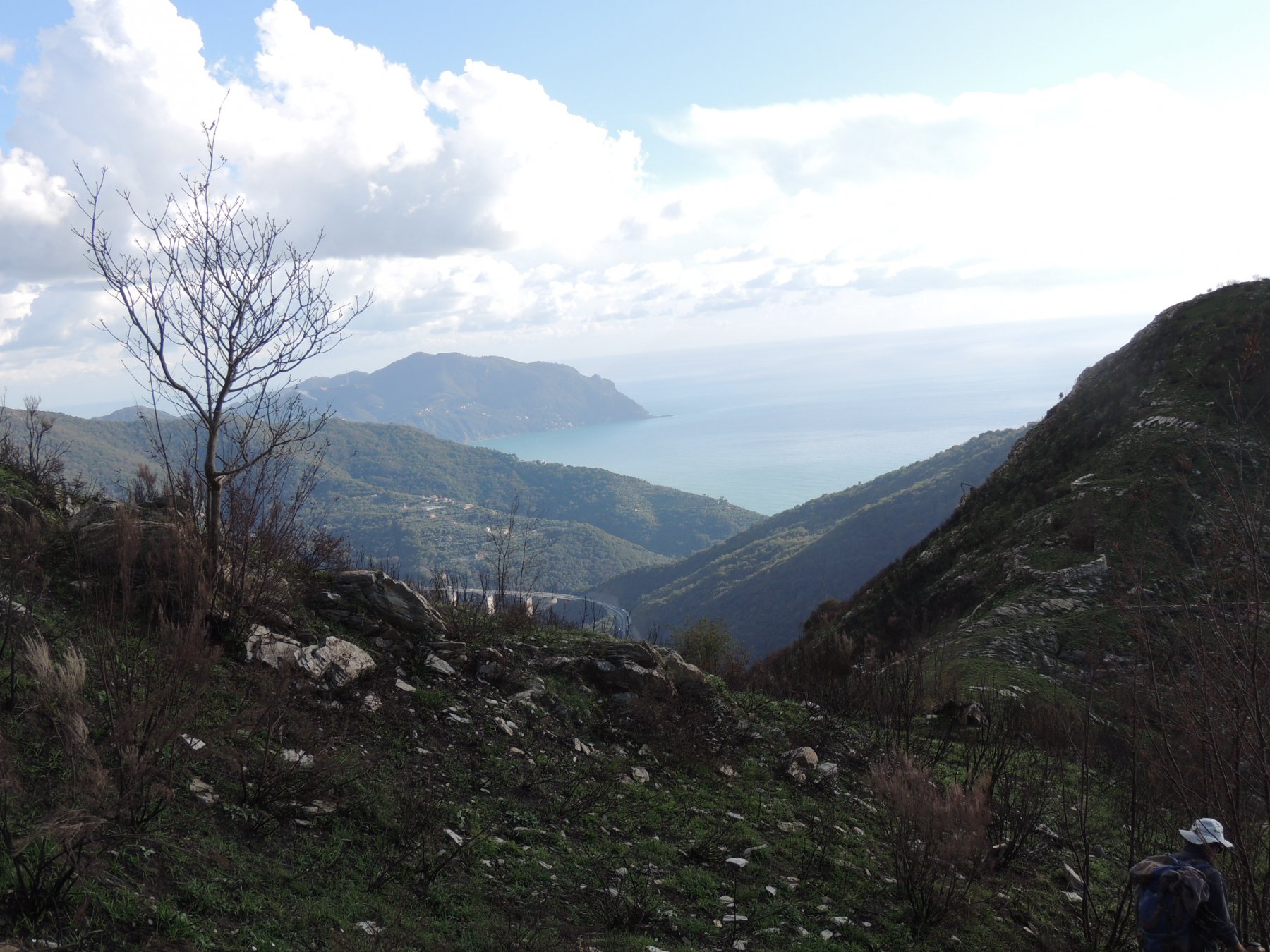 panorama sul m.Portofino