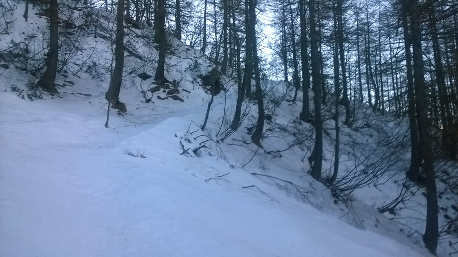 Il sentiero nel bosco con insidiose placche di ghiaccio