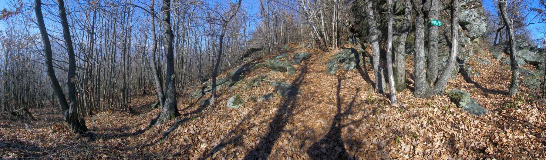 il sentiero che taglia per il passo è ostruito da due alberi caduti