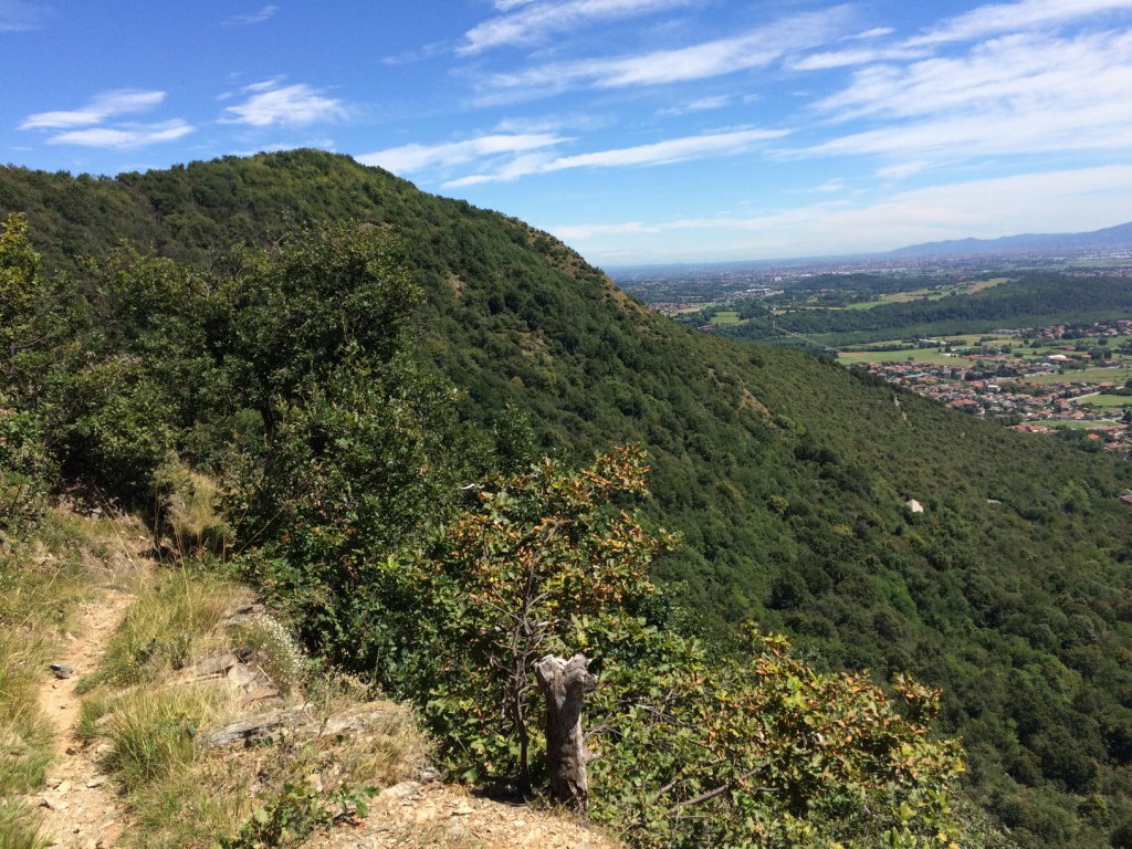 Il panoramico sentiero De Vitis.