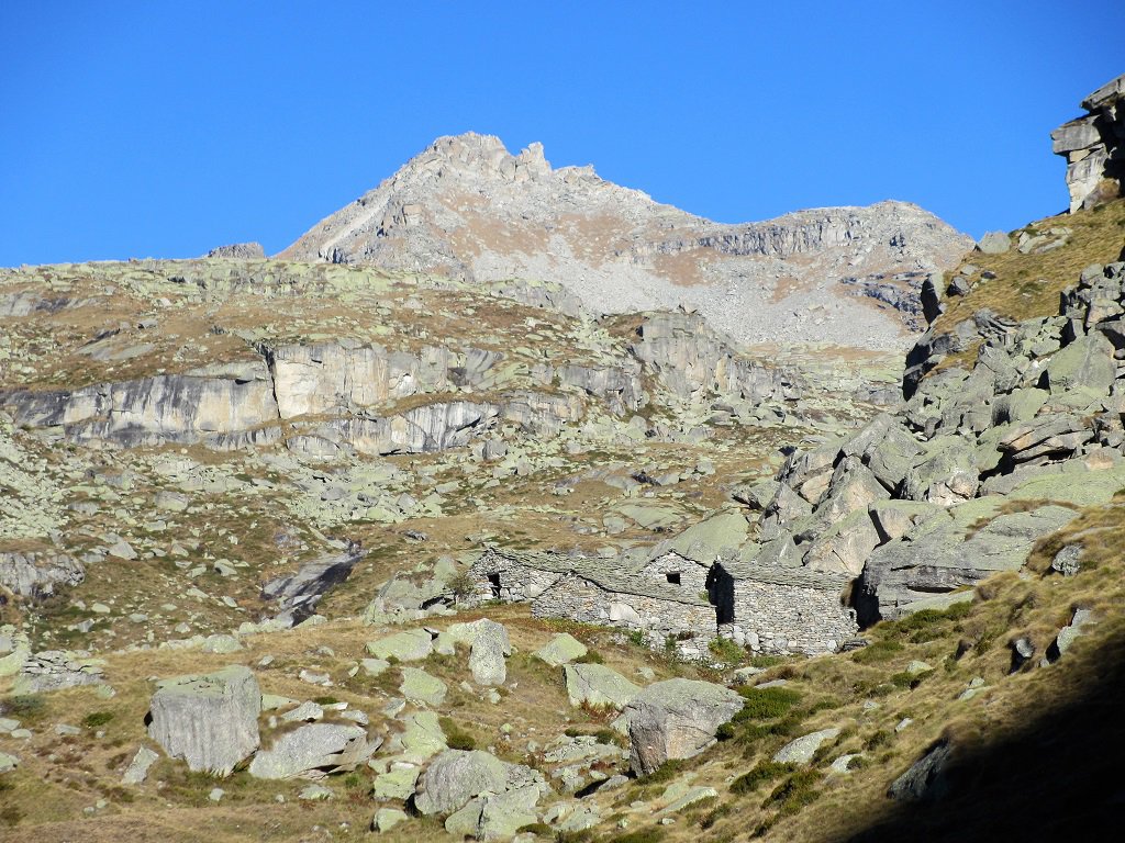Alpe Balmot