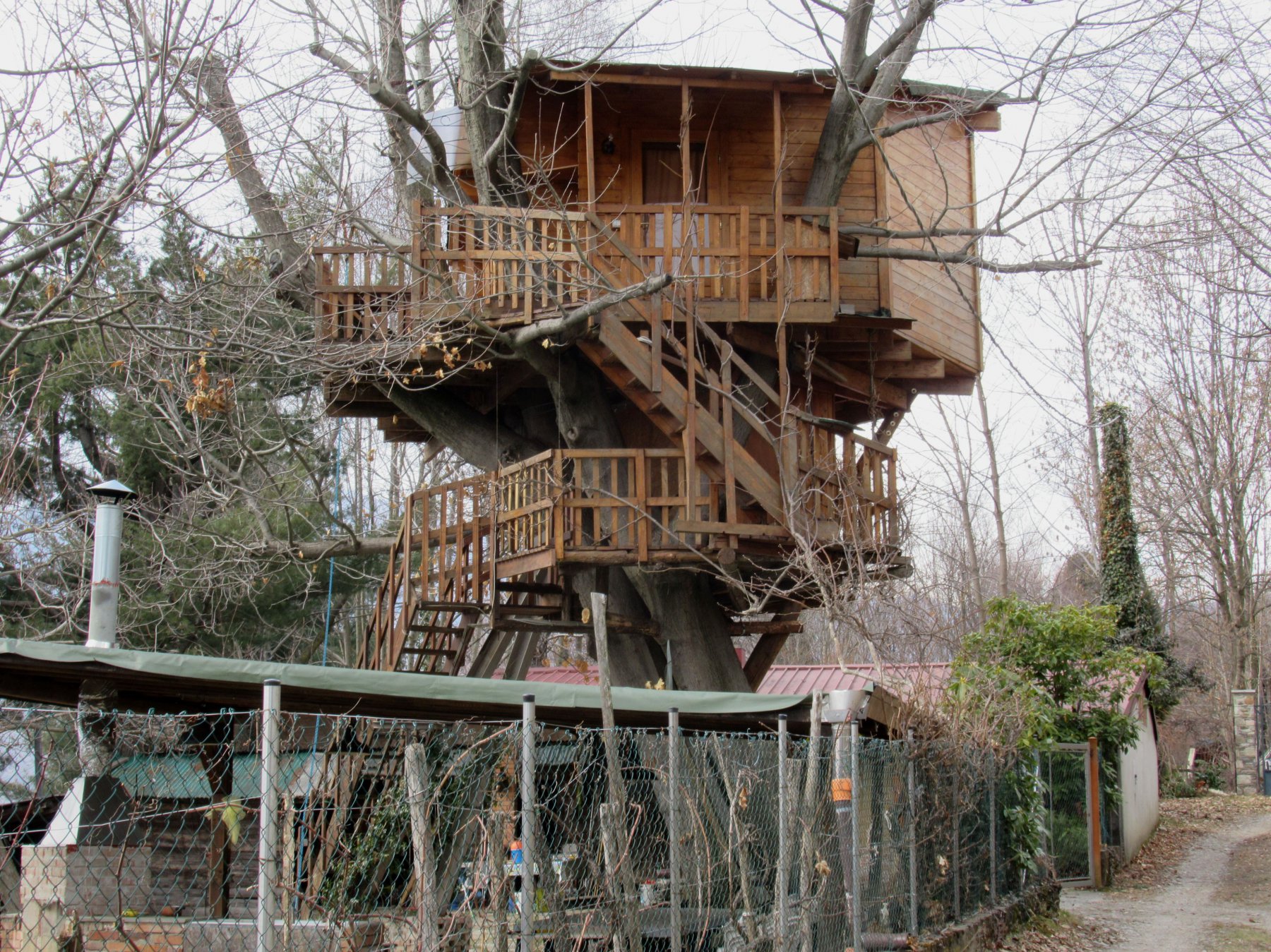 La casa nido sulla grande quercia americana a Pratolungo