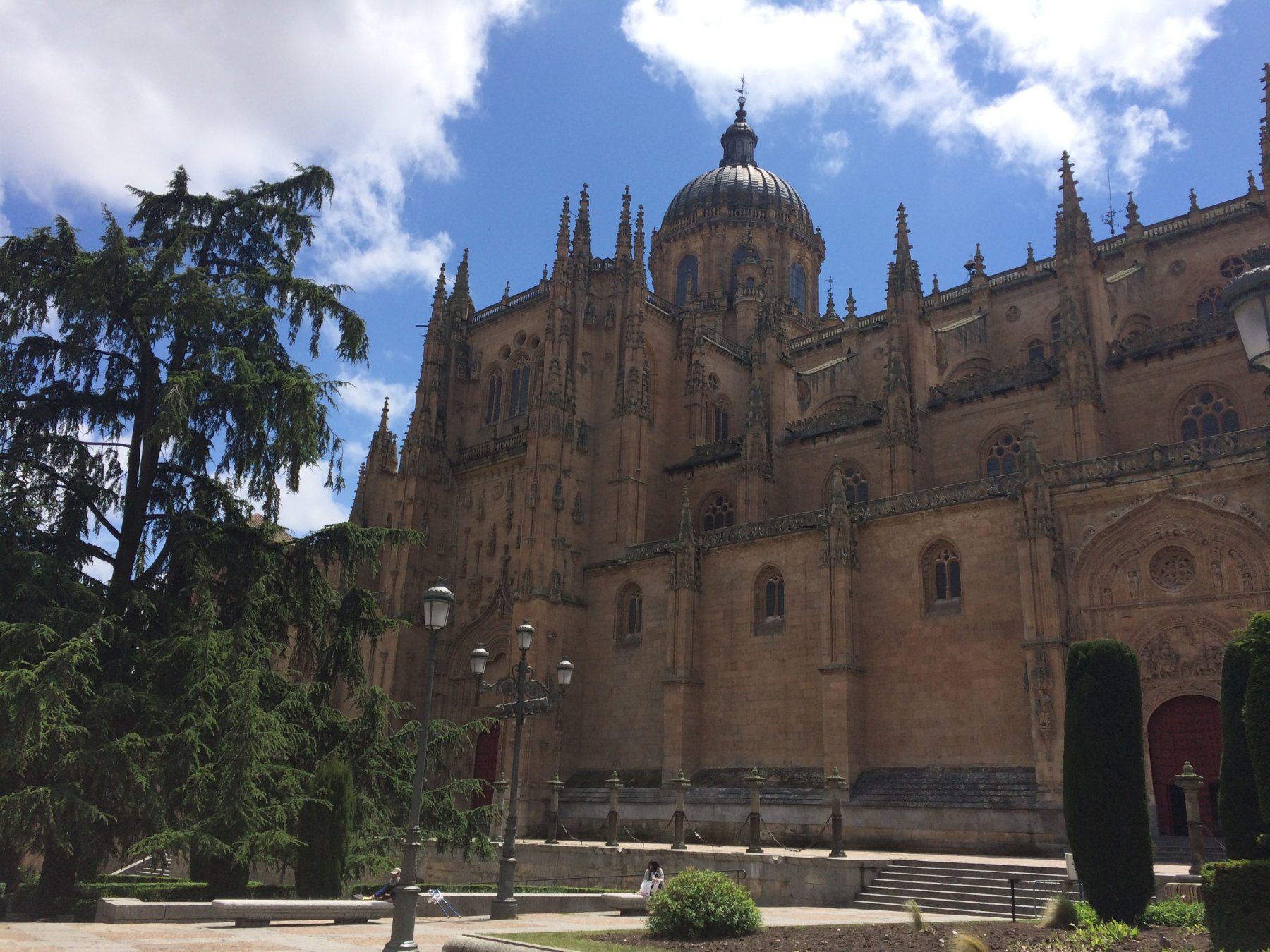 Cattedrale di Salamanca.