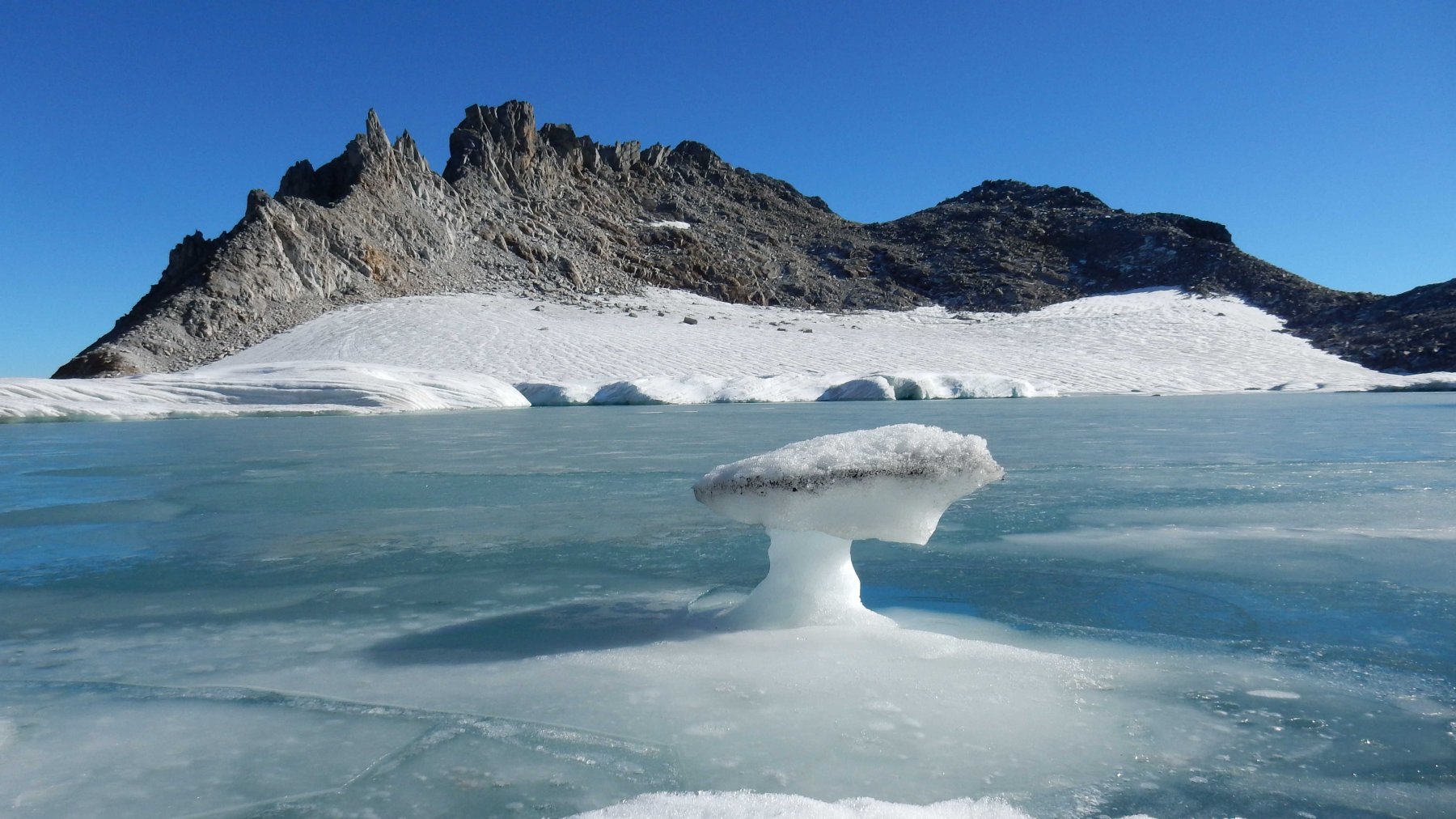 Fungo glaciale sul lago del Chüebodengletscher. 