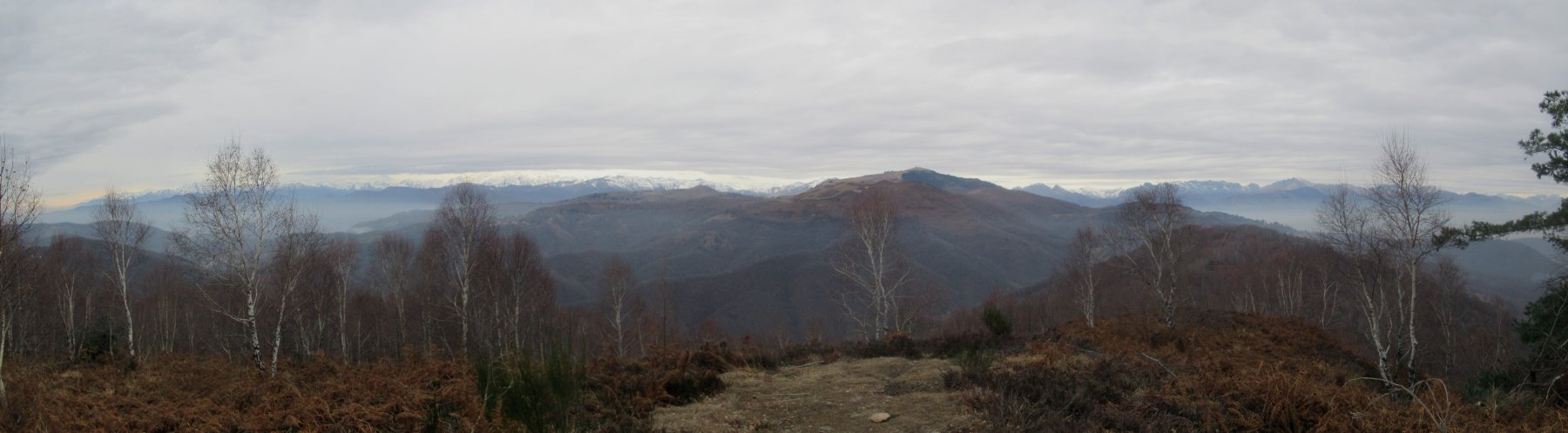 Panorama dal Monte Cornaggia