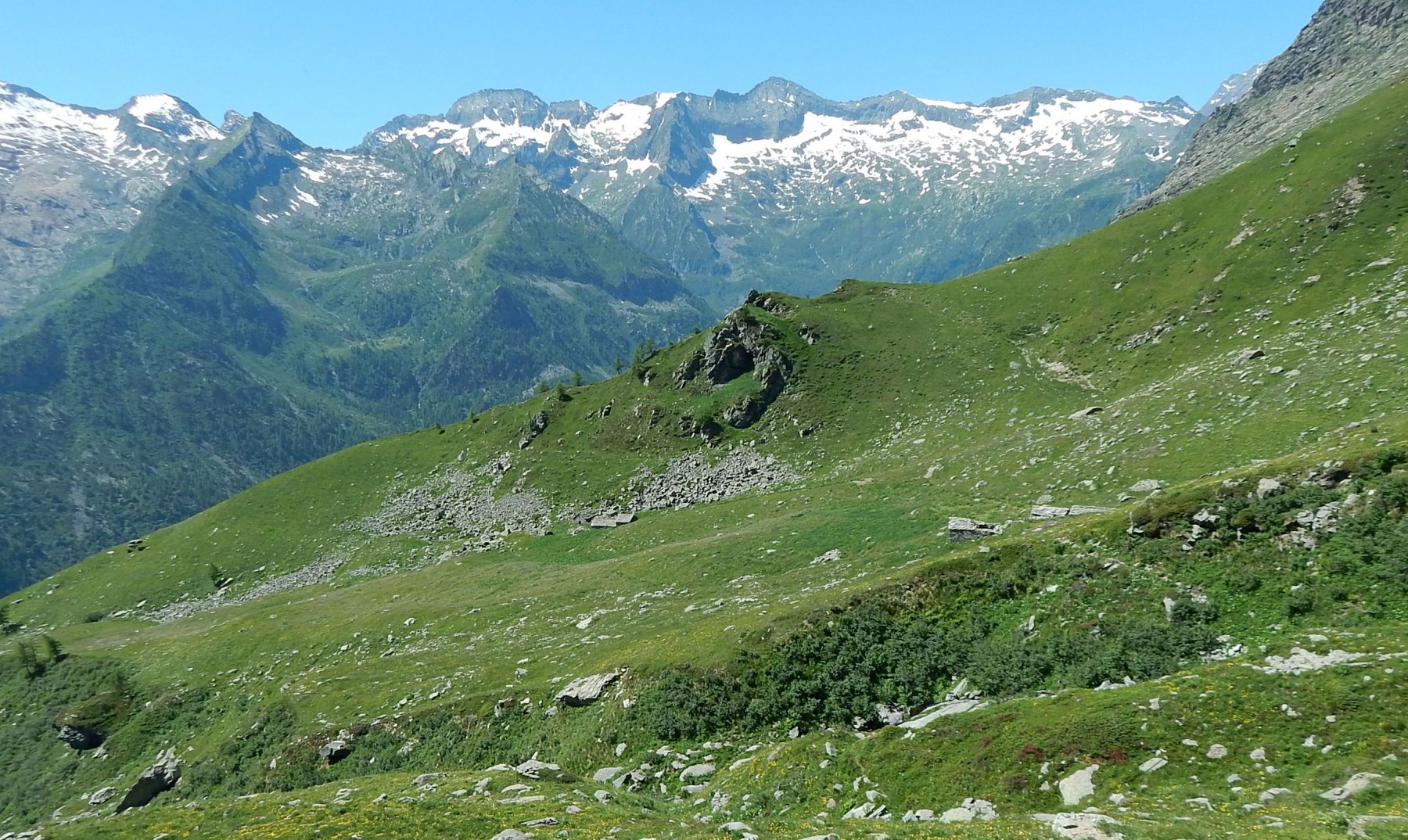  Si vede la traccia che arriva all'Alpe Pian delle Mule