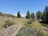 Superato il Mont de Nona inizia la parte più bella della salita, e si apre la vista sul M. Bianco.