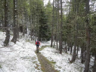 sentiero suggestivo per la recente nevicata
