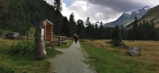 l'inizio del sentiero nella lunga e ampia Val Roseg