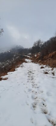 Il tratto di strada verso il monte Turu