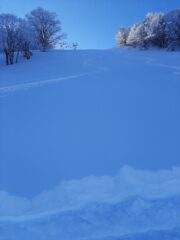 tracce in neve vergine