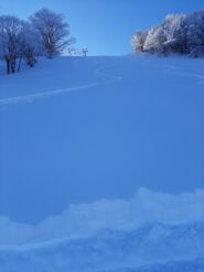 tracce in neve vergine