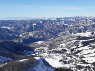 Panorama dal Maggiorasca verso est. Sullo sfondo le Alpi Liguri e Marittime, a destra il Monviso