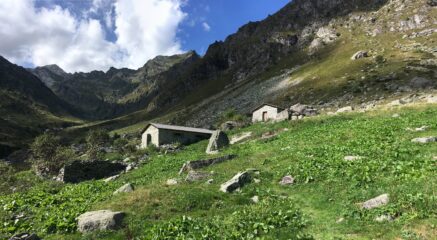 Alpe La Nuova, fotografata al rientro