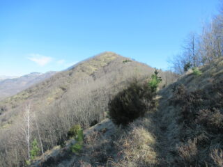 Tratto di cresta verso Monte Frascinello (m.1118)
