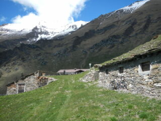l'Alpe Arcella 2008 m.