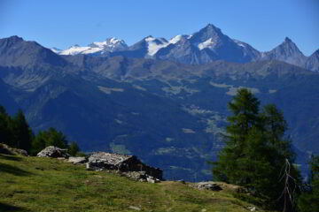 Alpe Tza de Viou con Gran Paradiso e Grivola sullo sfondo