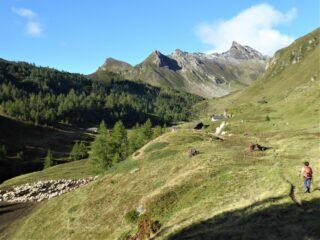 Poco oltre l'Alpe Bondolero