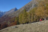 All'Alpe d'Attia