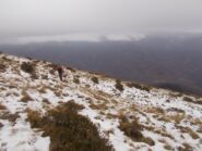 neve residua  sulla cresta del Monte Pigna