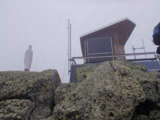 nebbia sulla cima del Monte Pigna