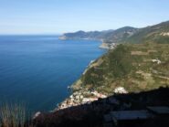 Riomaggiore e la costa dal Santuario di Montenero 