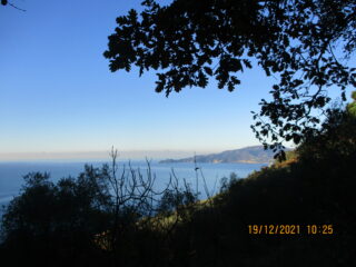 Vista verso Portofino
