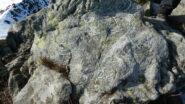 sourela : iscrizione sulla roccia sommitale