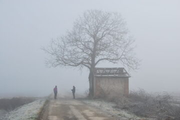 Paesaggio alla partenza: nebbia e brina danno un senso di perplessità su come sarà la giornata, ma sul suggestivo niente da dire.