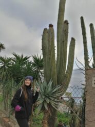 cactus enorme piantato nel 1955