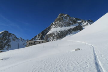 la comoda traccia degli scialpinisti svizzeri