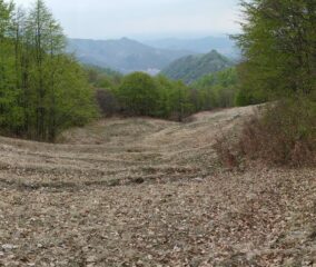 La discesa a valle verso Pino, con un sentiero non visibile in foto, ma presente e ben calpestato da altri appassionati.