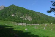 L'Alpe Balmetta