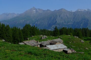Il Rocciamelone dall'Alpe Balmetta
