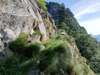Cengia poco sotto l'Alpe Taragn, passaggio carateristico