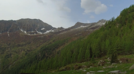 Alpe giovanchera bella e cima del Tiglio