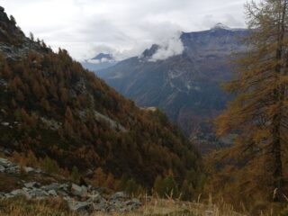 Il pianoro dell'Alpe Vargnana visto dal proseguimento del percorso 