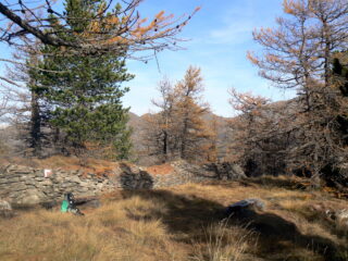 Area con panche in legno dove occorre lasciare il sentiero che scende verso l'Osservatorio per risalire verso sinistra su debole traccia nel bosco.