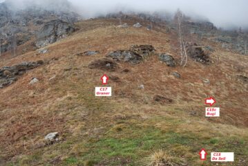 Il bivio sentieri dopo l'Alpe Seli. Sceso da Graner il ritorno è stato lungo il C15c per Bugi