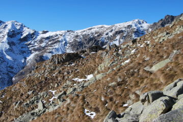 In vista dell’alpeggio Pian Fontanelle, risalendo il C17 da Carera; sullo sfondo Col Carisey, Rifugio Coda, Punta e Colle Sella