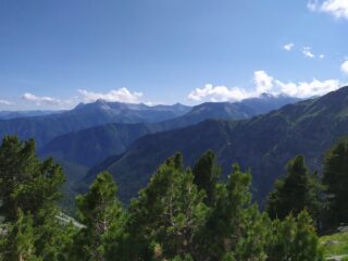 Salendo al Berardo la vista spazia dal Pelvo d'Elva al Monte Ferra