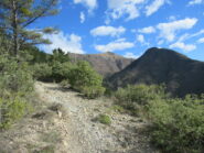 Il Monte Mangiabo (m.1821) da sotto la Bassa Liniere